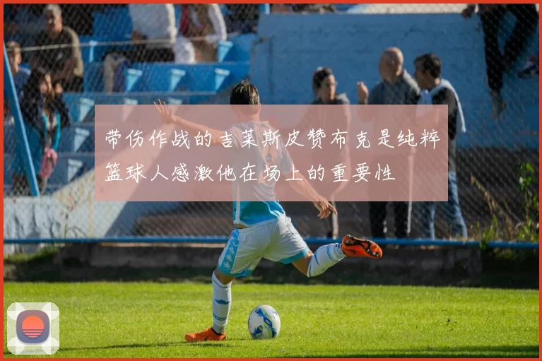 带伤作战的吉莱斯皮赞布克是纯粹篮球人感激他在场上的重要性
